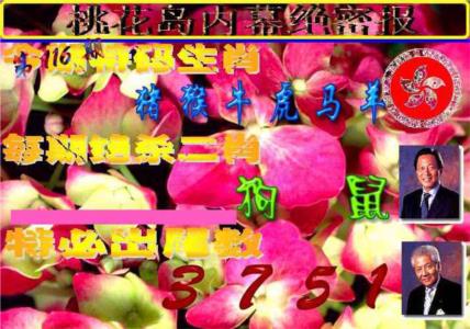 桃花岛内幕报