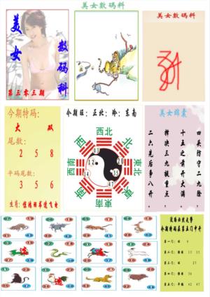 美女数码料