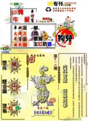 精版专刊