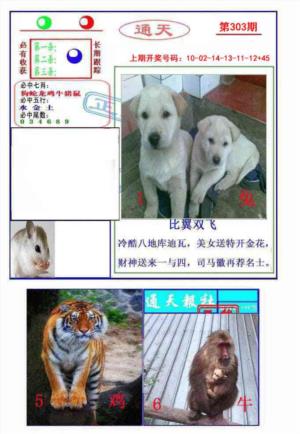 通天杀波图2