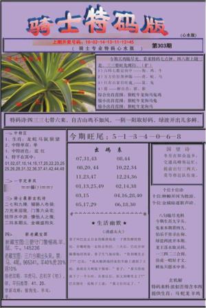 骑士特码版