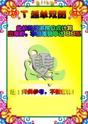 T派单双图