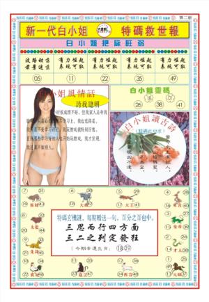 白小姐新一代B