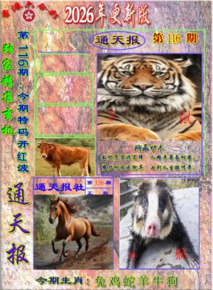 新通报
