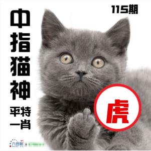中指猫神