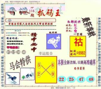 新抓码王