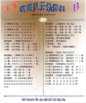 猪哥风云劲爆料B