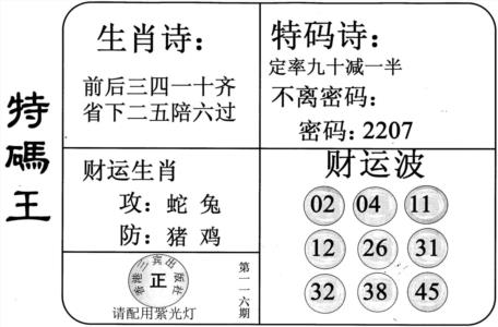 特码王