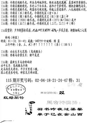 蛇报B