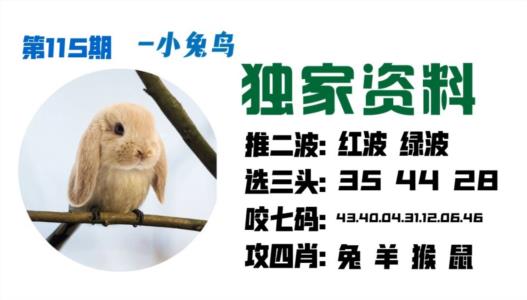 小兔鸟