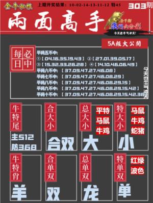 金牛两面高手