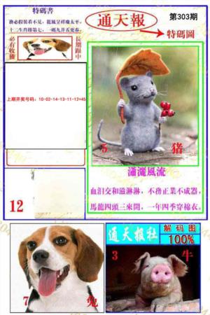 通天特解图
