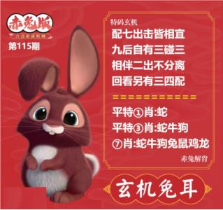 玄机兔耳