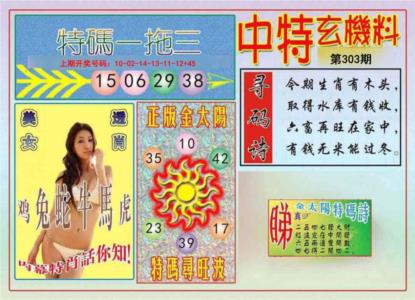 中特玄机料