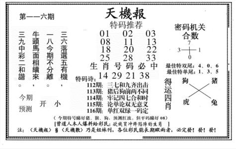新天机报