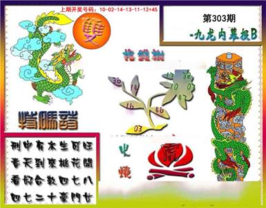 九龙内幕特肖图a