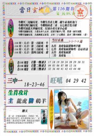当日特码玄机B(新)