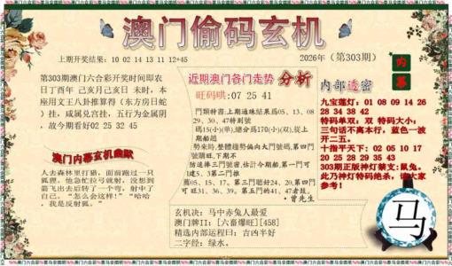 偷码玄机