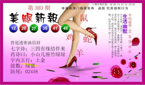 美腿新报