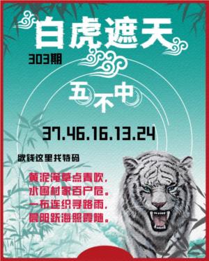白虎遮天-五不中