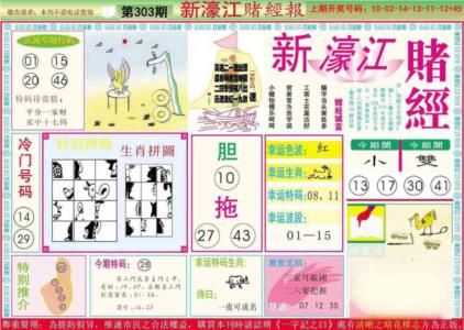 新濠江赌经A