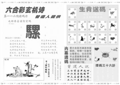 新内幕B