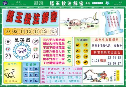 赌王投注解密