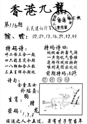九龙内幕