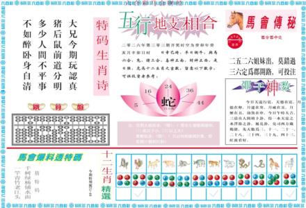马会财经B