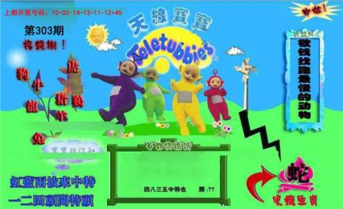 正版天线宝宝D