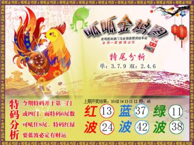 金鸡1