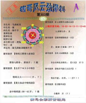 猪哥风云劲爆料A