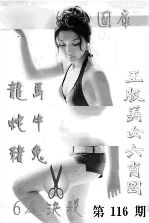 美女六肖报
