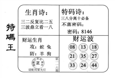 老版特码王