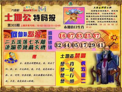 土地公特码报B