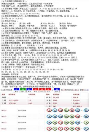 五星报B