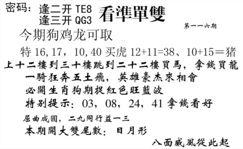 看准单双