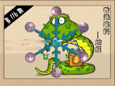 (香港来料)蛇报