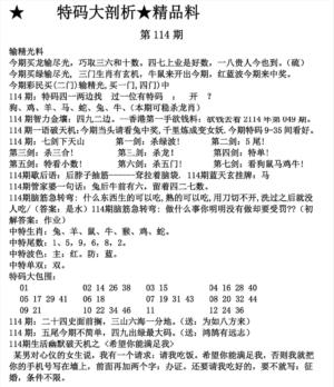 特码大剖析