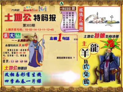 土地公特码报A