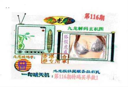 九龙报