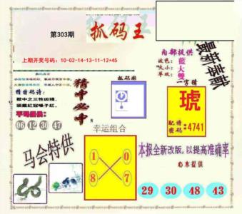 新抓码王