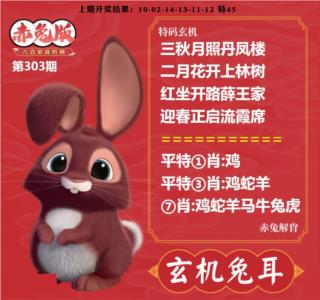 玄机兔耳