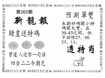 新龙报