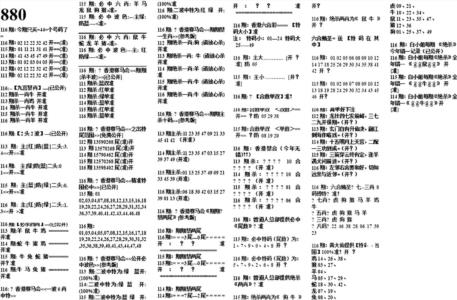 880特码版