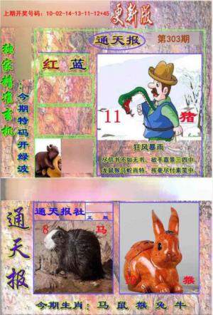 新通报