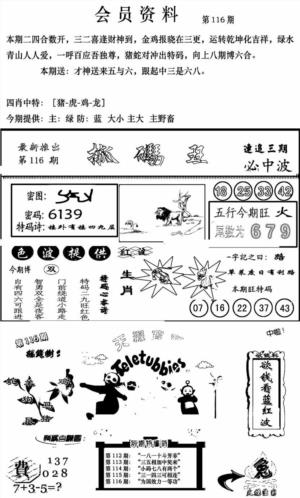 新版会员资料(新图)