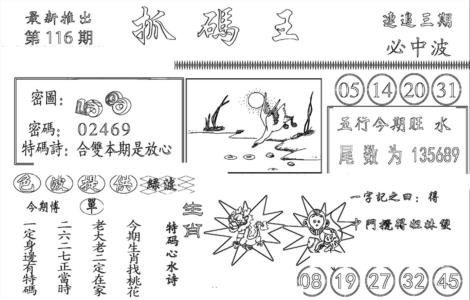 抓码王