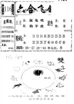 六合飞鸽(新)