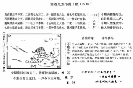 手写九龙内幕(电脑版)